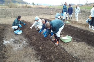 活動実績 2015.03.07 麻機遊水地自然再生事業 耕作地整備他 写真3