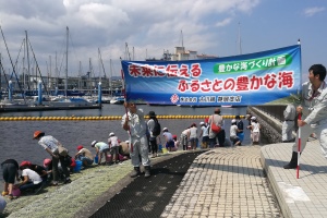 2017.06.15 ひらめ 500尾 写真1