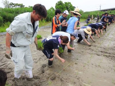 活動実績 2019.06.04 麻機遊水地自然再生事業 田植え 写真2