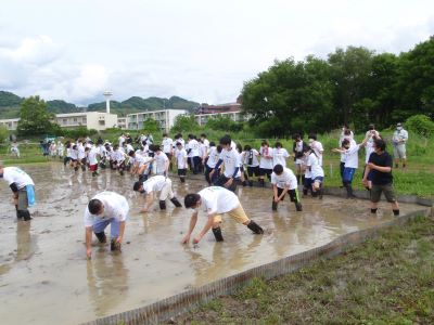 活動実績 2019.06.04 麻機遊水地自然再生事業 田植え 写真3