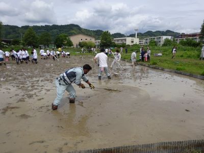 活動実績 2021.06.02 麻機遊水地自然再生事業 田植え 写真2