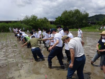 活動実績 2021.06.02 麻機遊水地自然再生事業 田植え 写真3