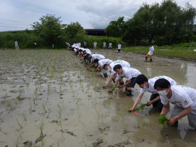 活動実績 2021.06.02 麻機遊水地自然再生事業 田植え 写真4