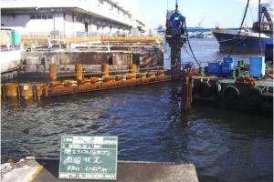 豊洲・晴海地区防潮護岸Ｅブロック護岸建設工事