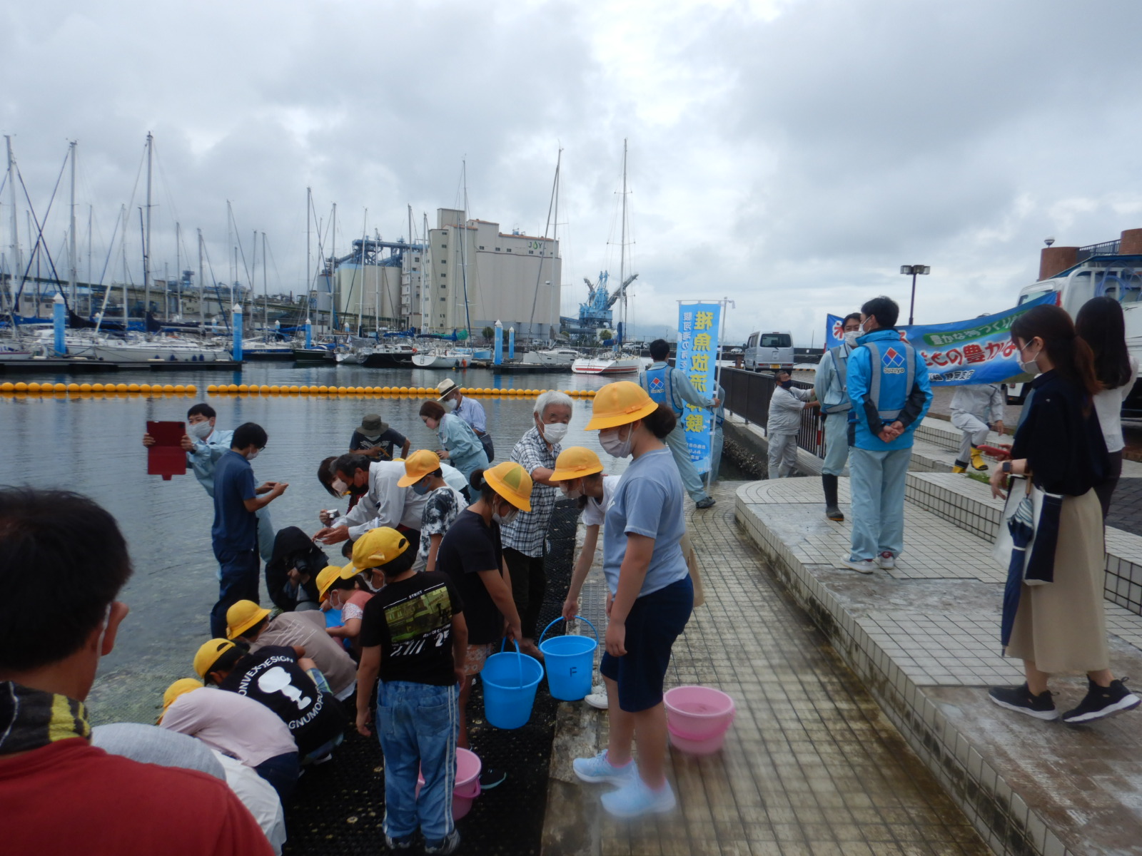 2022.7.12 マダイ稚魚2000匹 写真3
