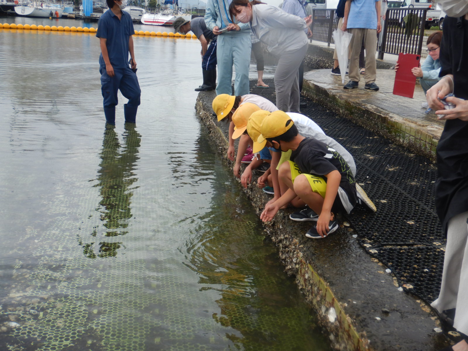2022.7.12 マダイ稚魚2000匹 写真4