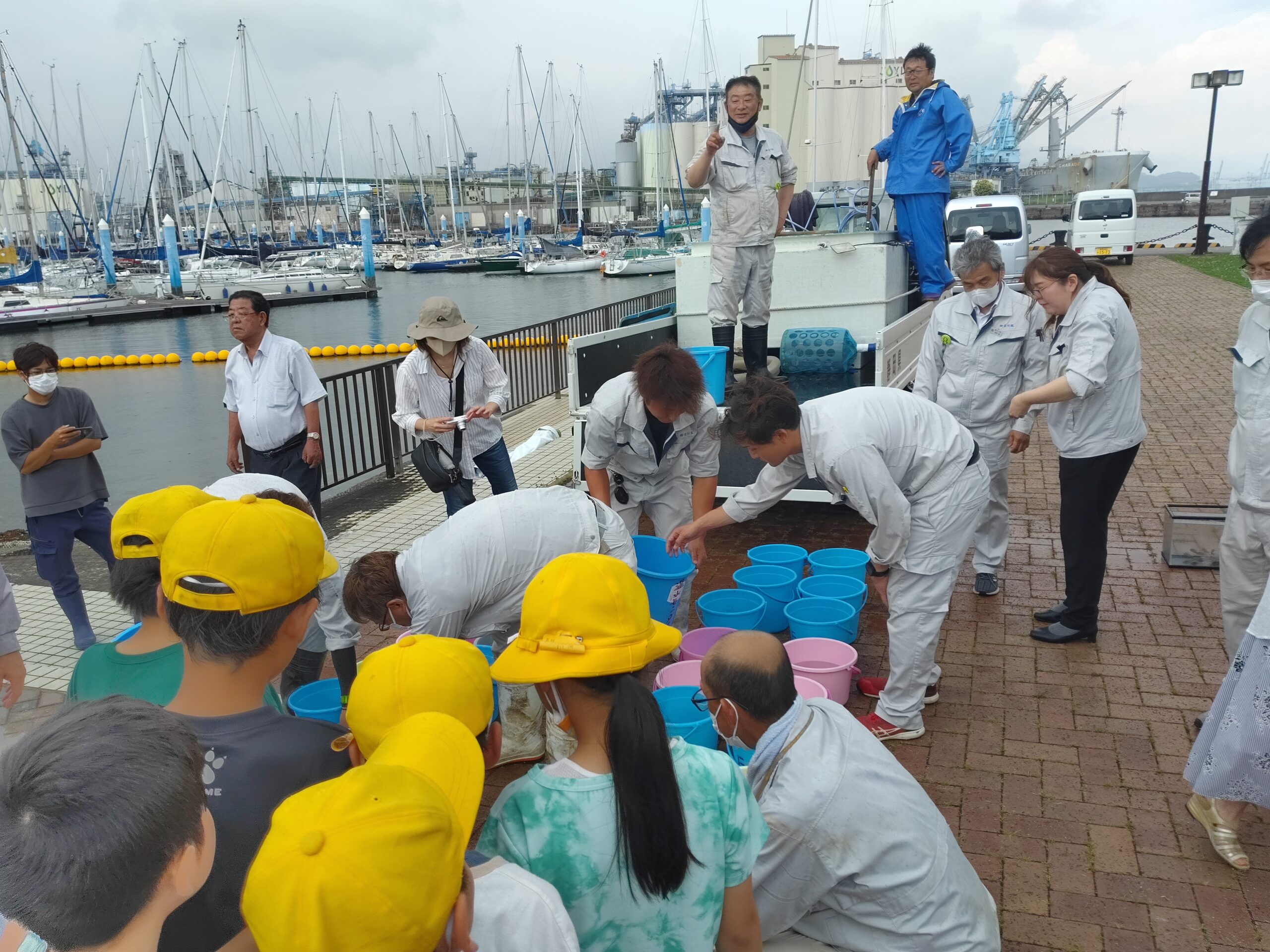 2023.7.4 マダイ稚魚2000匹 写真2