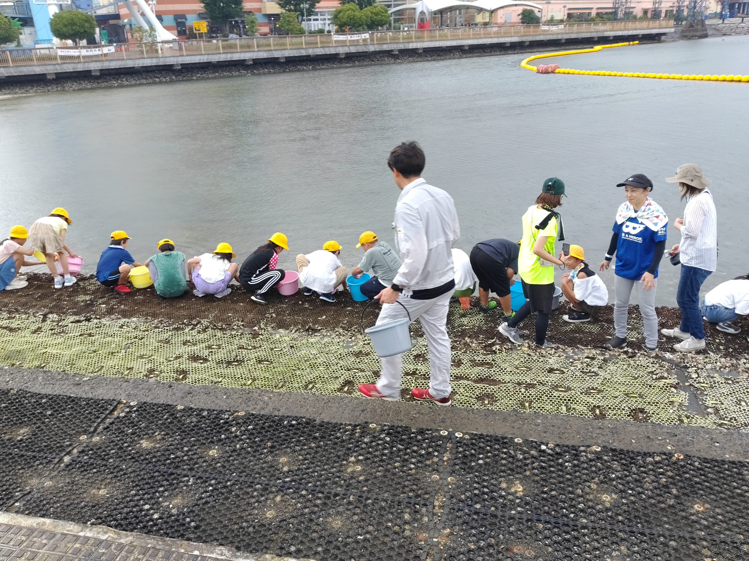 2023.7.4 マダイ稚魚2000匹 写真4