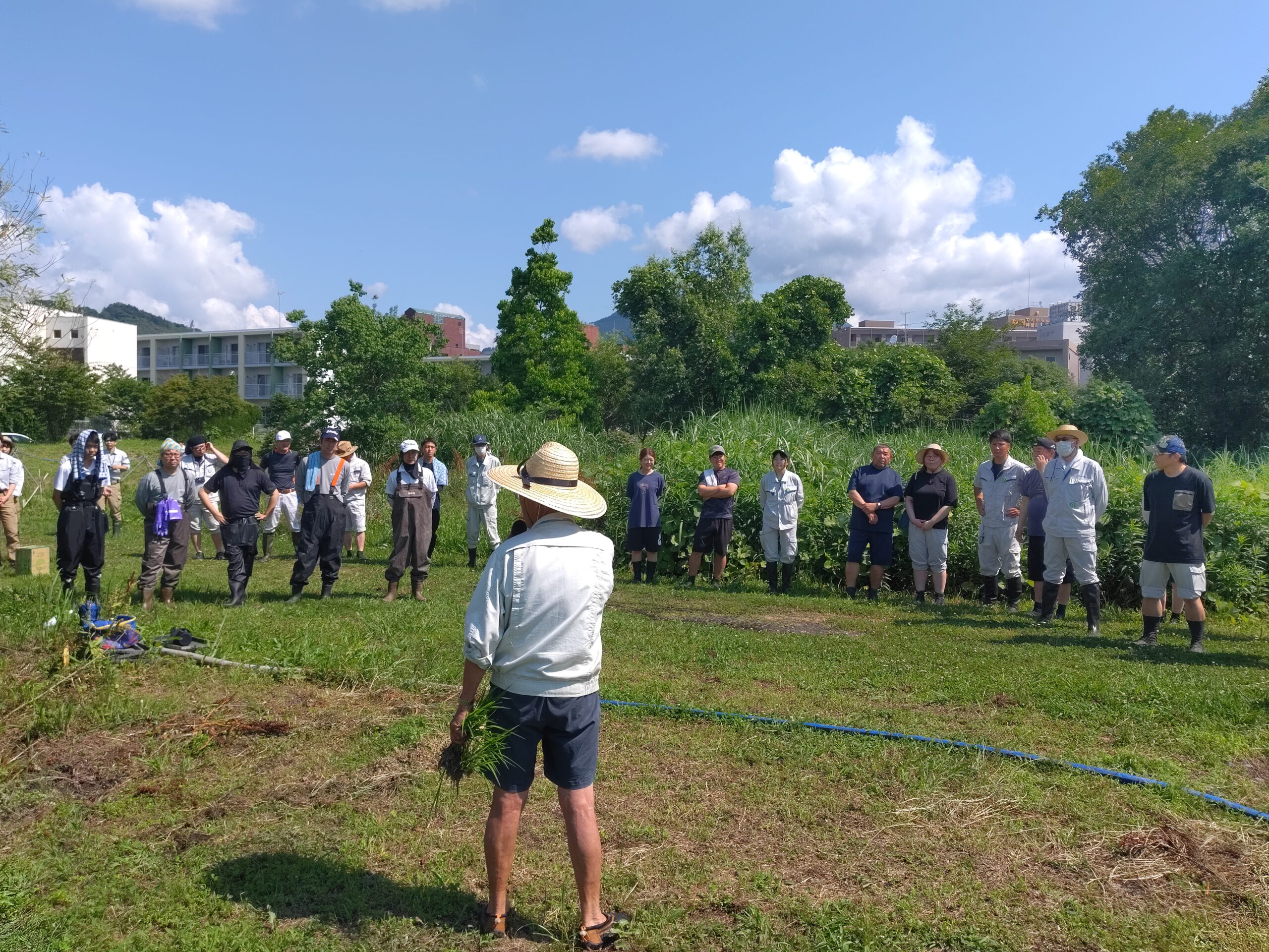 活動実績 2024.06.07 麻機遊水地自然再生事業 田植え 写真2