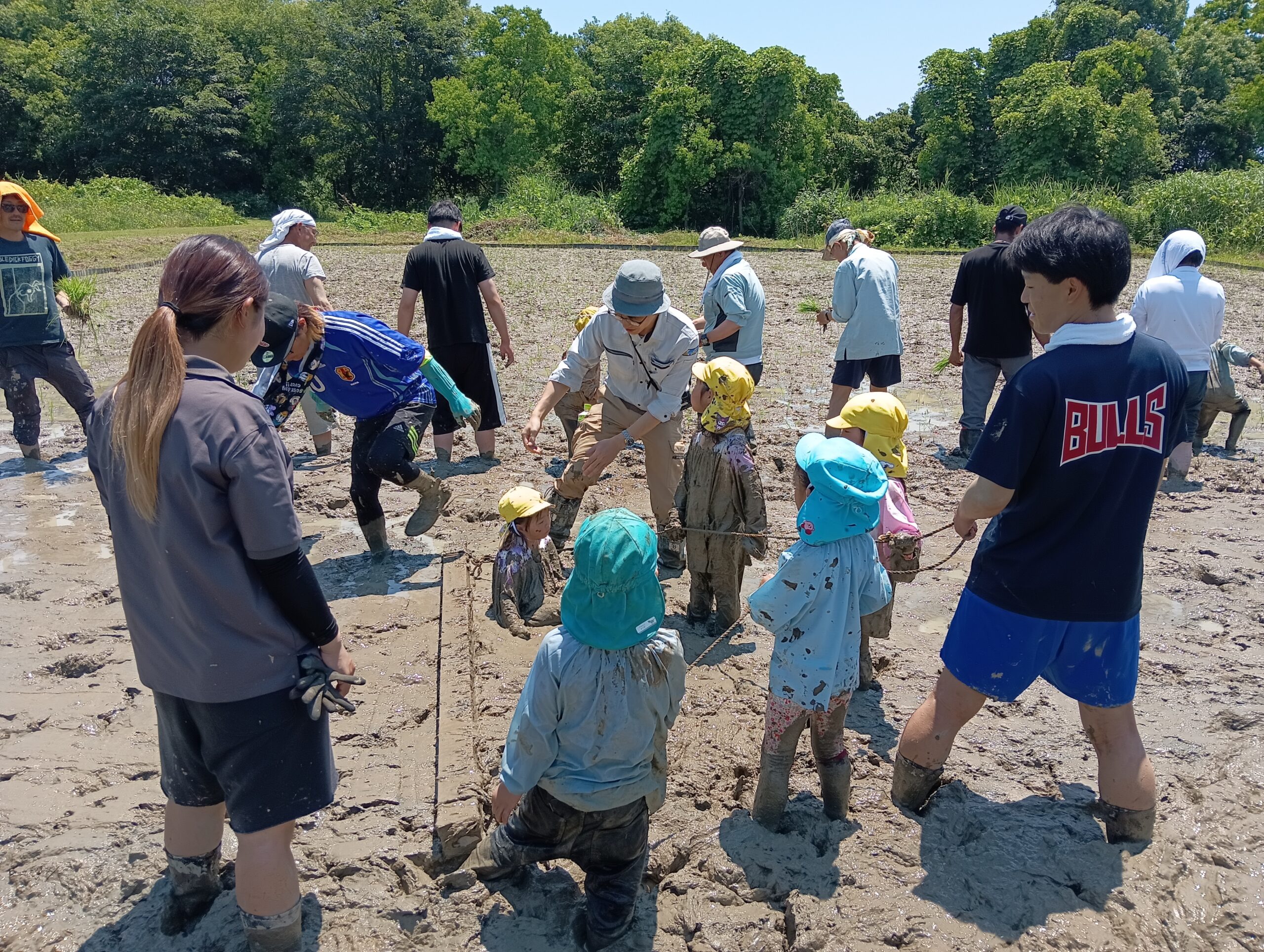 活動実績 2025.06.06 麻機遊水地自然再生事業 田植え 写真3